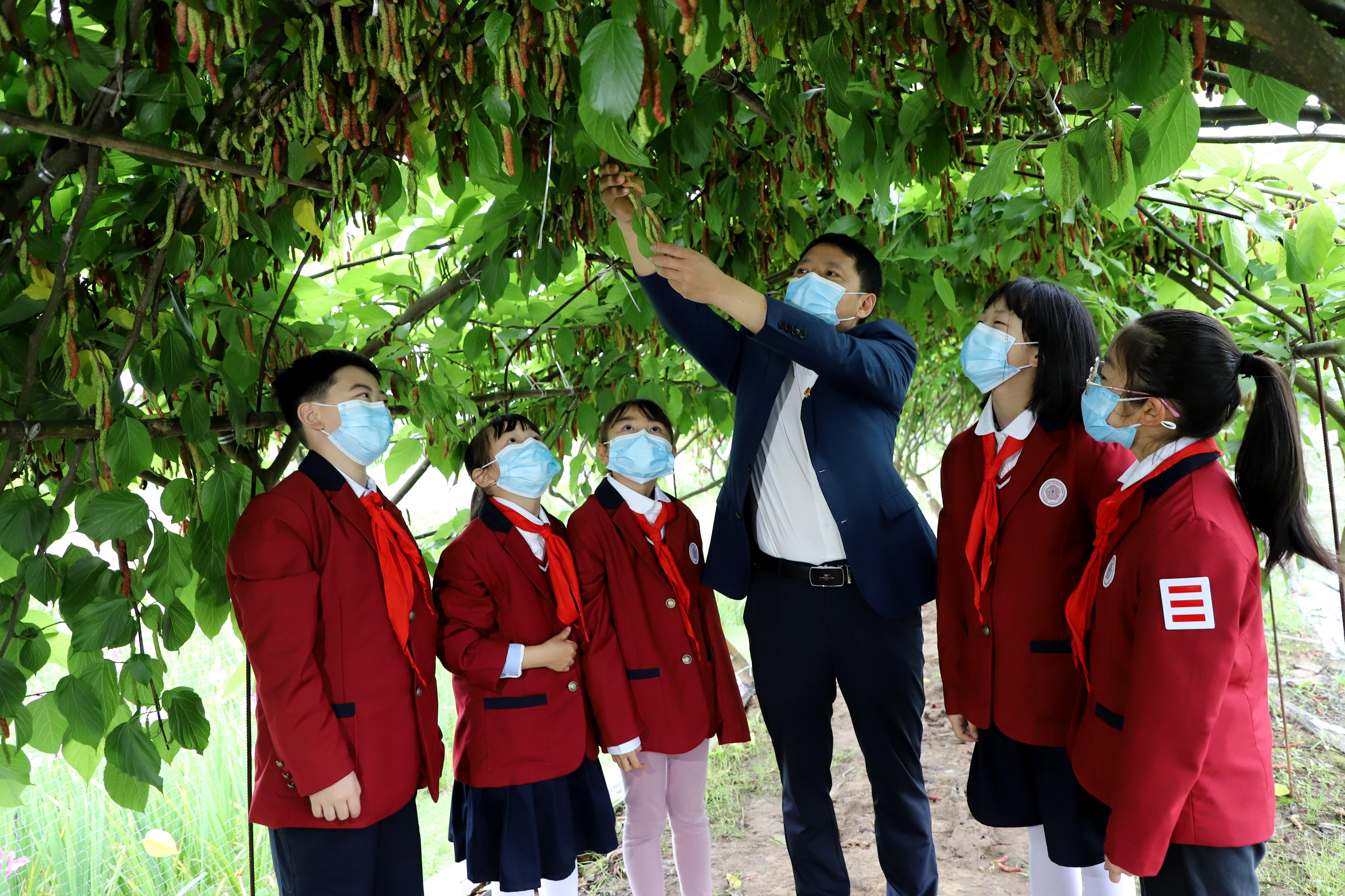 香国小学 走进科普基地 体验太空荷花果桑长廊 