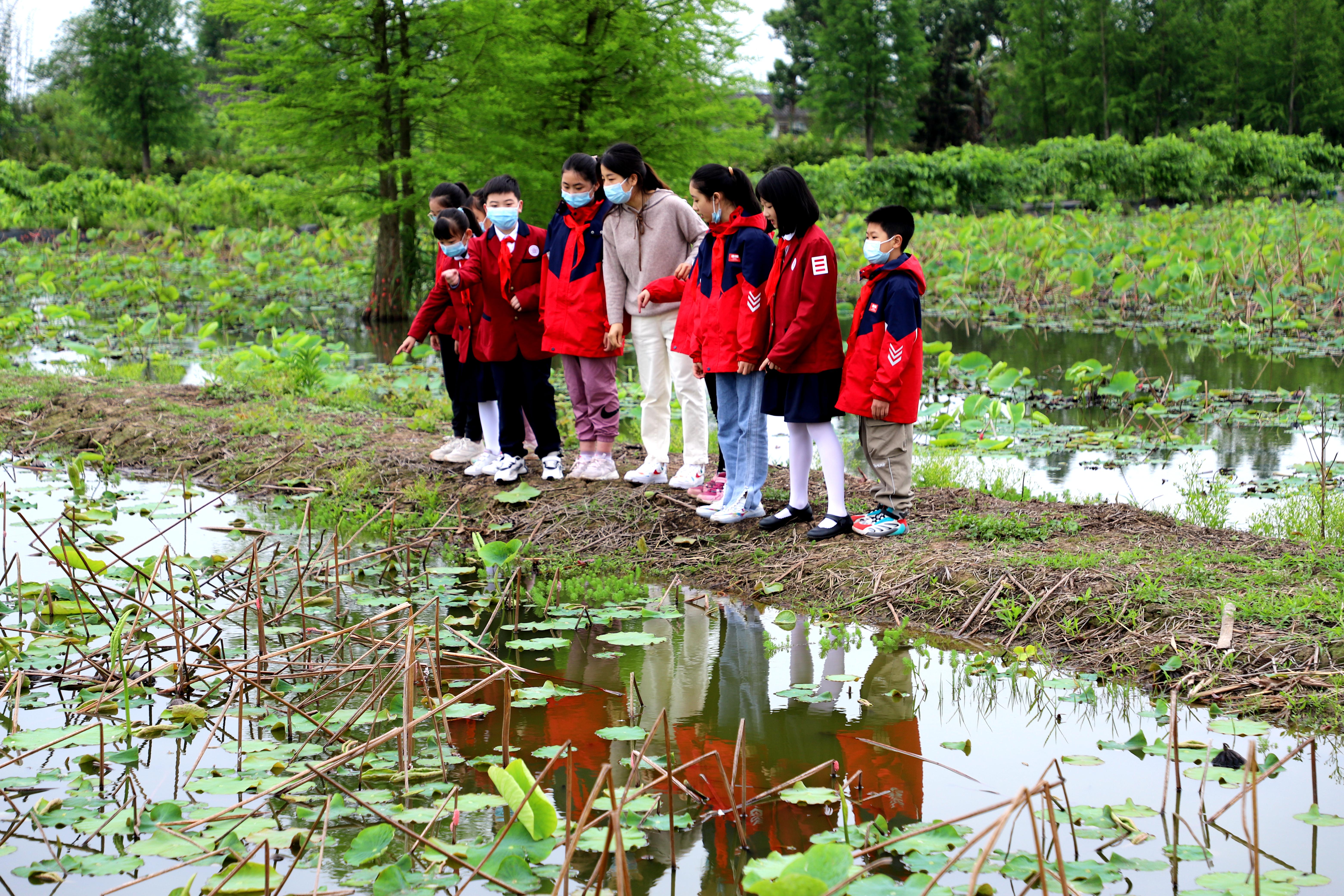 香国小学 走进科普基地 体验太空荷花果桑长廊 