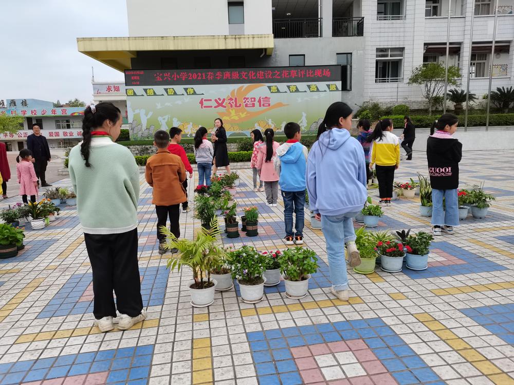 大足区宝兴小学创建文明校园工作简介