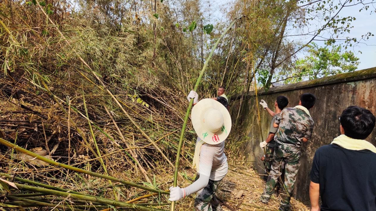 泸县石马镇图片